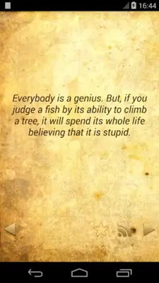 Daily Einstein Quotes OFFLINE android App screenshot 3